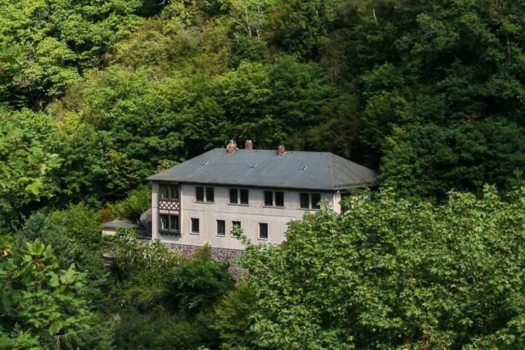 Willa Haus Am Berg Bad Bertrich Zewnętrze zdjęcie